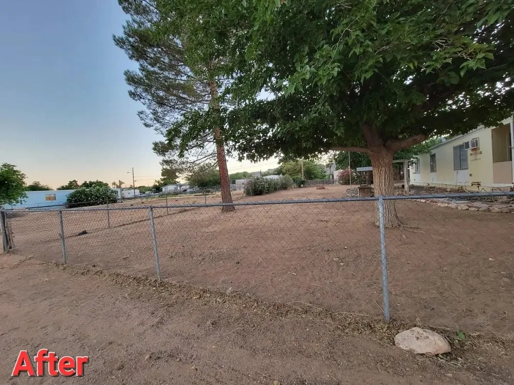 Expert landscaping services for year-round maintenance in Kingman, AZ by Sweet Pete's Landscaping