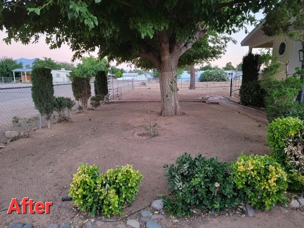 Local landscape installation experts serving Kingman, AZ - Sweet Pete's Landscaping