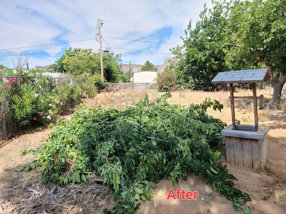 Local residential landscaping for residential properties across Kingman, AZ - Sweet Pete's Landscaping