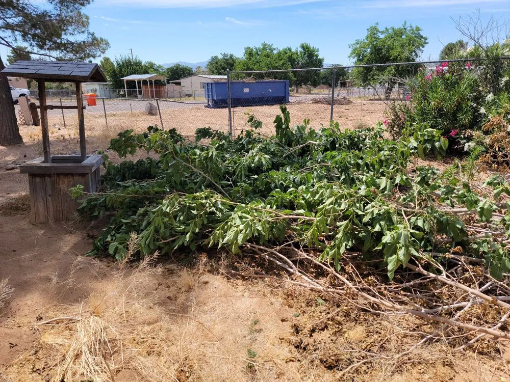 Affordable landscape design for residential properties across Kingman, AZ - Sweet Pete's Landscaping