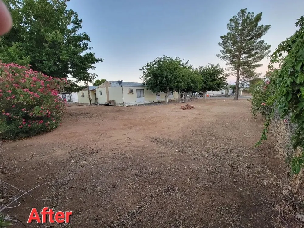 Professional yard cleanup service near you in Kingman, AZ by Sweet Pete's Landscaping