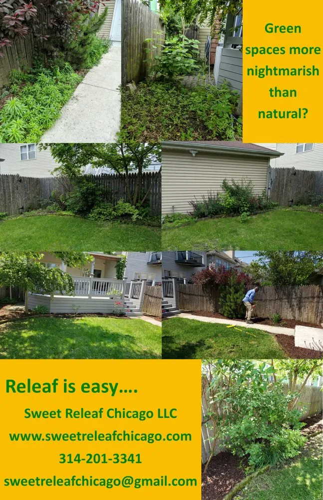Affordable lawn care service experts serving Chicago, IL - Sweet Releaf Chicago
