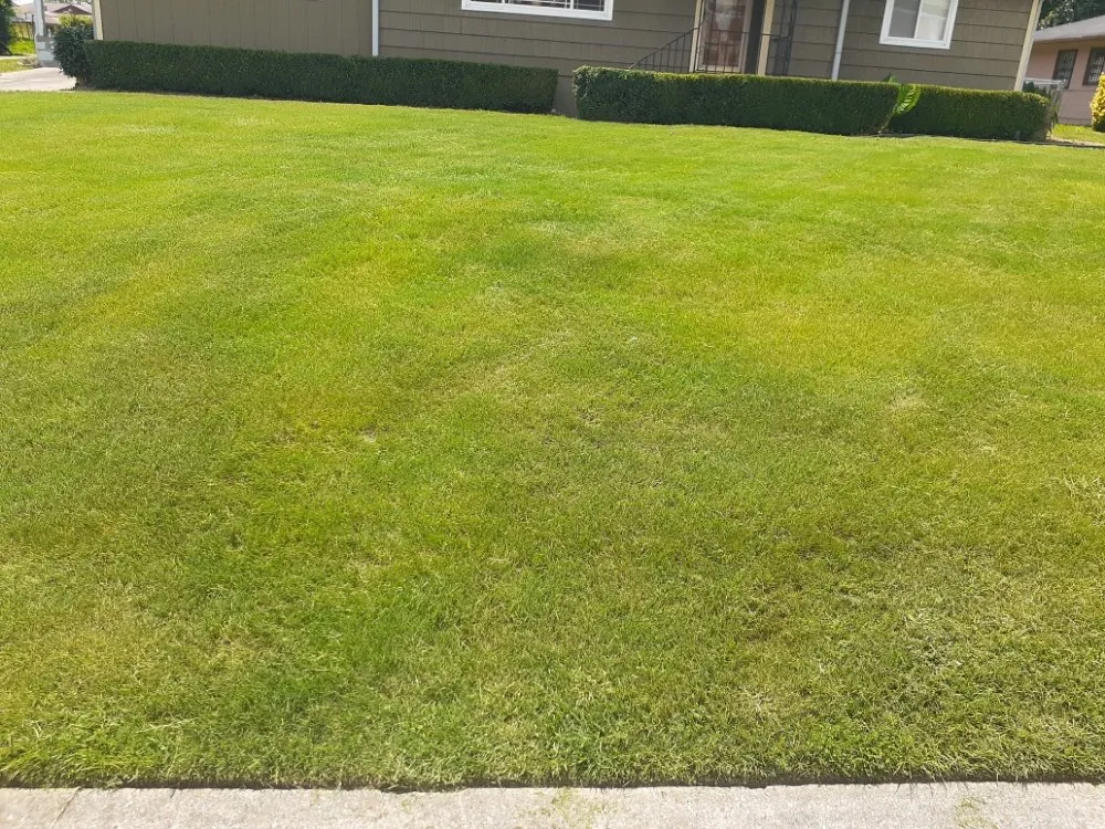 Affordable yard cleanup service with custom design across Atlanta, GA - Sweet Rose Incorporated Lawn Care