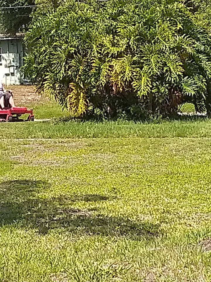 Expert yard maintenance experts serving Zephyrhills, FL - Sweet South Home Solutions