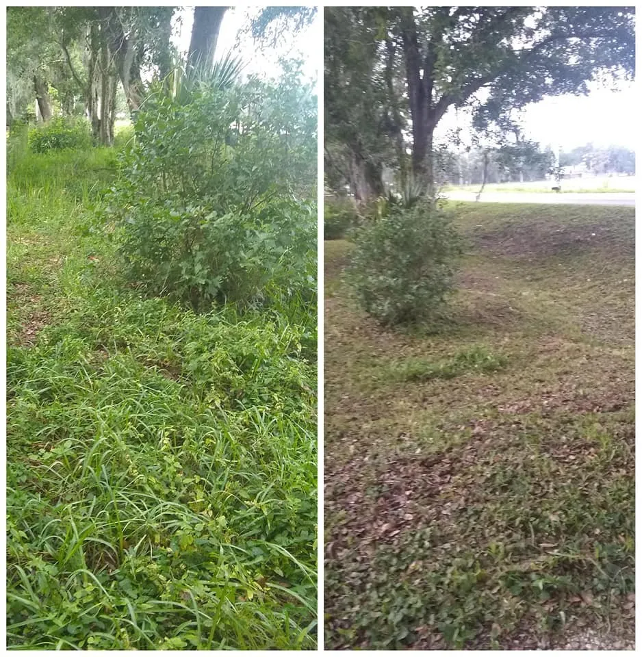 Professional yard maintenance for beautiful yards across Zephyrhills, FL - Sweet South Home Solutions