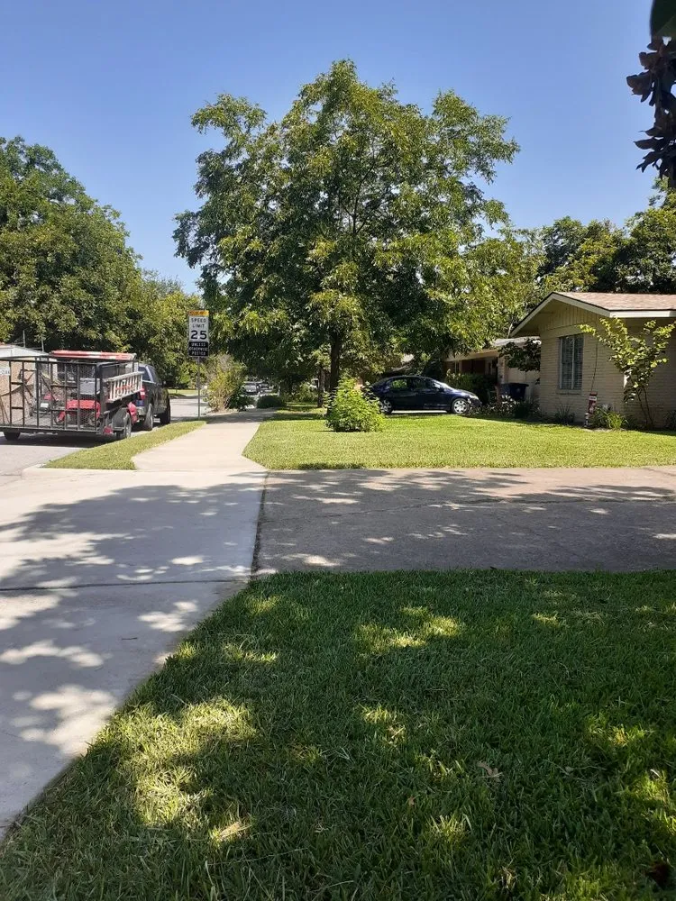 Reliable yard cleanup service in Cedar Park, TX - Sweet Tea Lawns