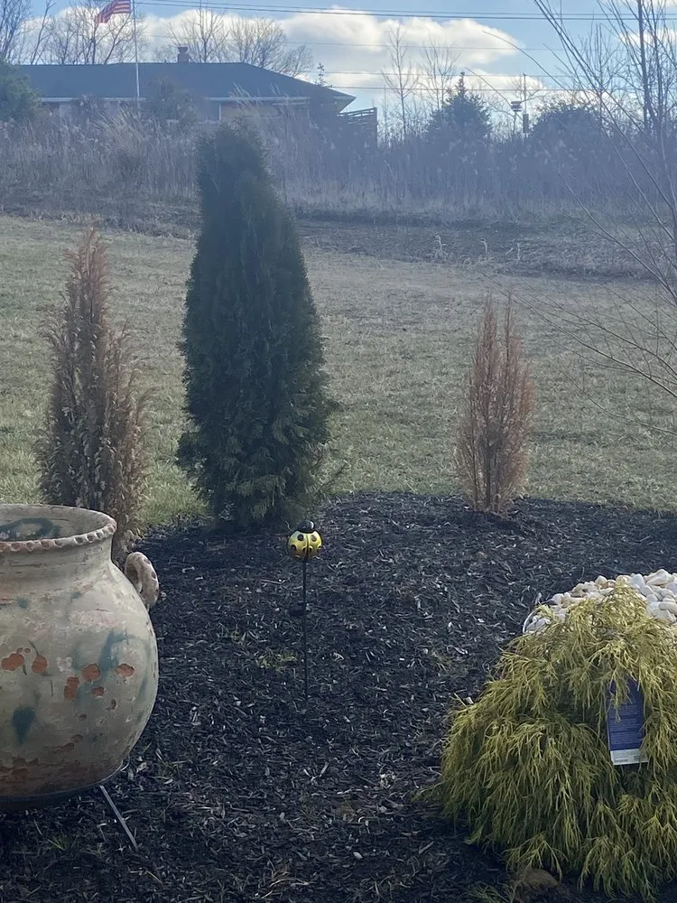 Trusted landscape design experts serving Cincinnati, OH - Sweet T’s Thumb