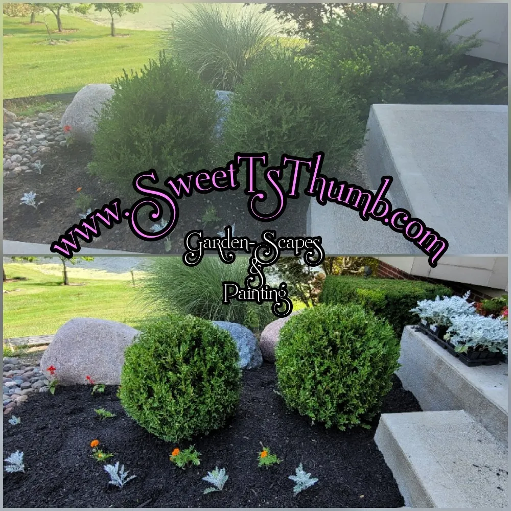 Trusted residential landscaping experts serving Cincinnati, OH - Sweet T’s Thumb