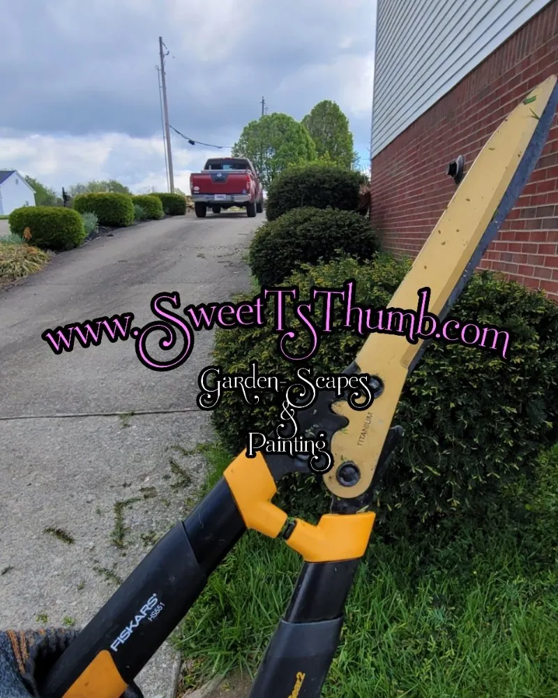 Affordable residential landscaping experts serving Cincinnati, OH - Sweet T’s Thumb