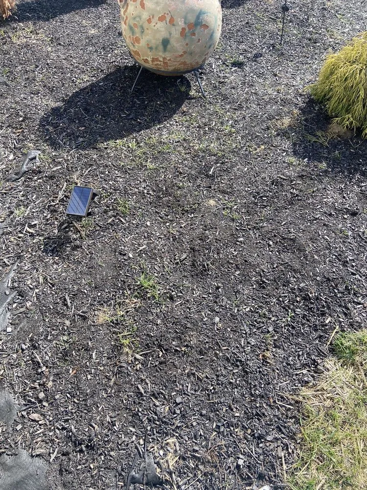 Custom landscape installation for residential properties across Cincinnati, OH - Sweet T’s Thumb