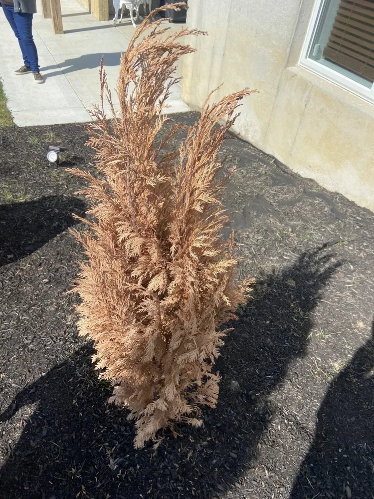 Professional landscape design in Cincinnati, OH by Sweet T’s Thumb