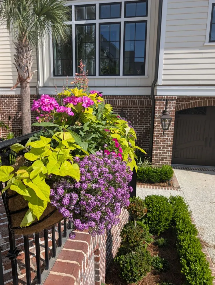 Local landscaping services in Summerville, SC - Sweetbay Landscaping and Design