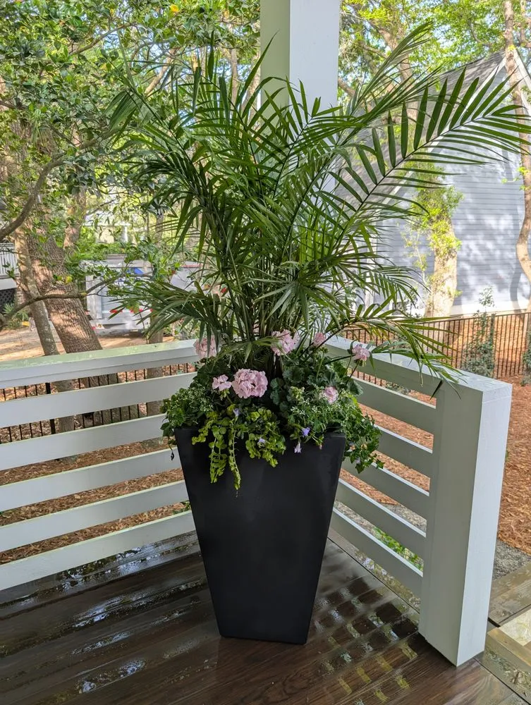 Local landscape design experts serving Summerville, SC - Sweetbay Landscaping and Design