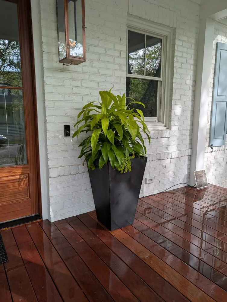 Custom lawn care service for homes in Summerville, SC by Sweetbay Landscaping and Design