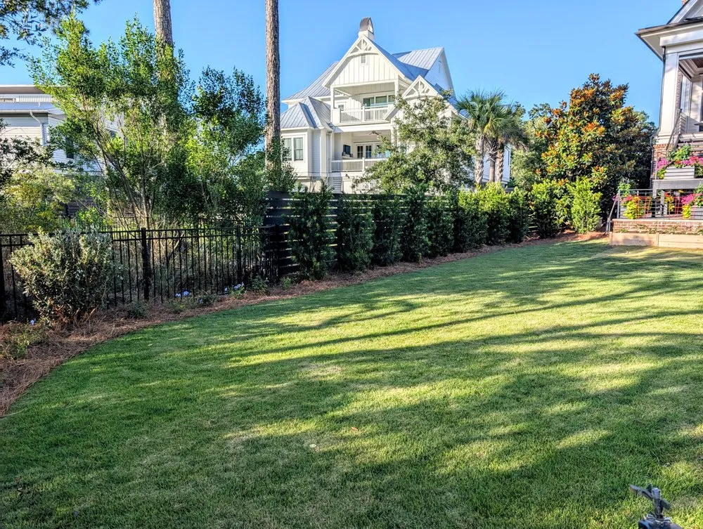 Reliable landscape installation in Summerville, SC - Sweetbay Landscaping and Design