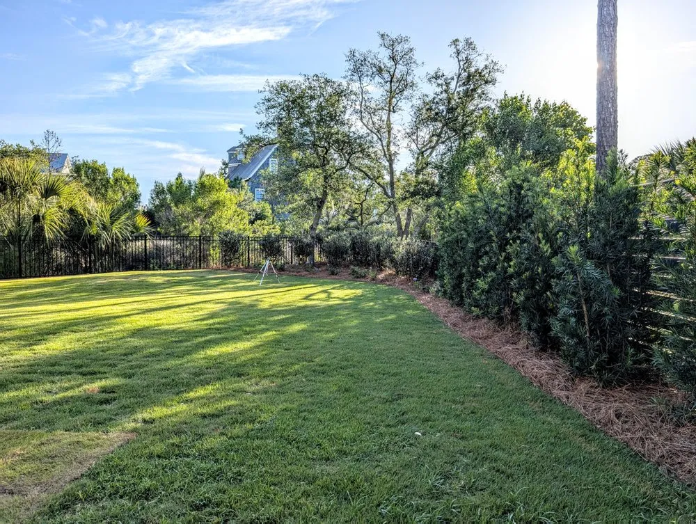 Trusted lawn care service for beautiful yards in Summerville, SC by Sweetbay Landscaping and Design