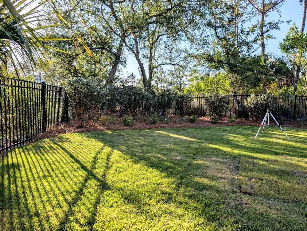 Top-rated yard maintenance experts serving Summerville, SC - Sweetbay Landscaping and Design