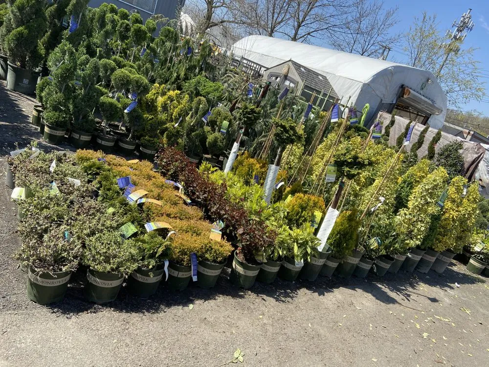 Affordable landscape design in Staten Island, NY by Sweetbrook Nursery & Garden Center