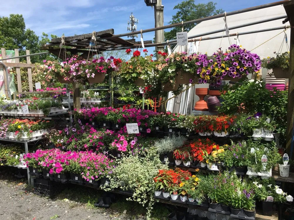 Top-rated lawn mowing service with custom design in Staten Island, NY by Sweetbrook Nursery & Garden Center