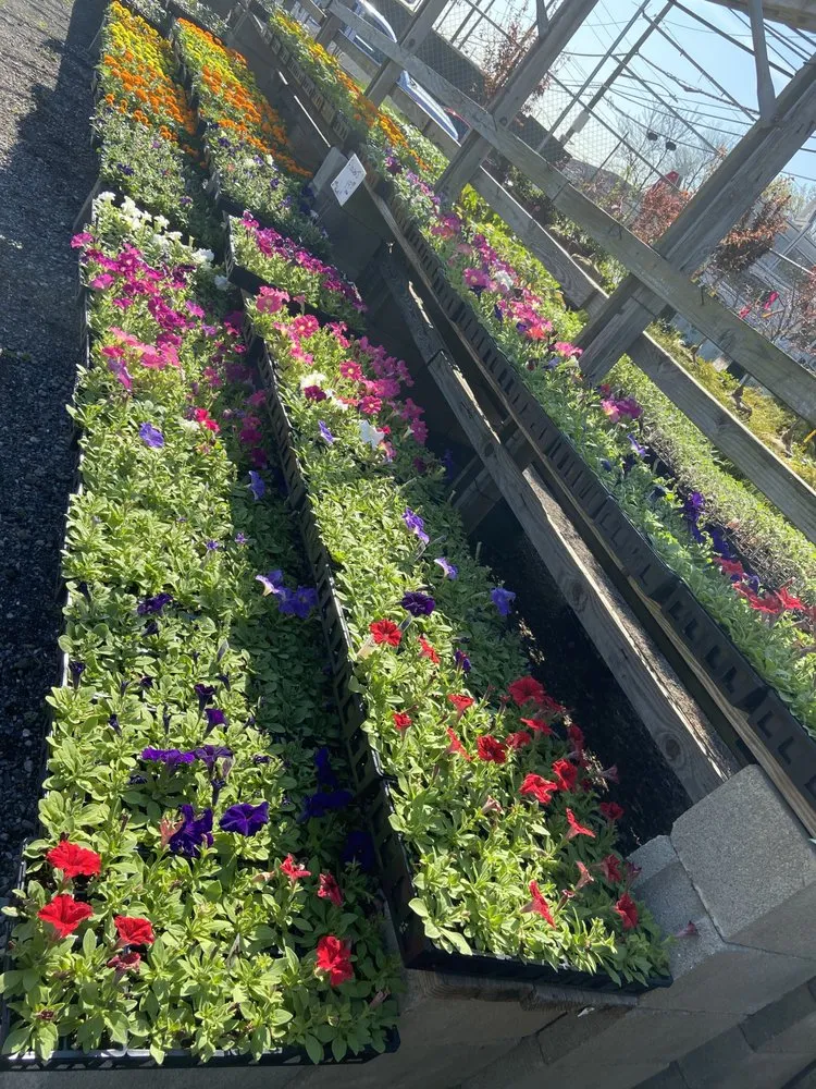 Reliable landscaping services in Staten Island, NY - Sweetbrook Nursery & Garden Center
