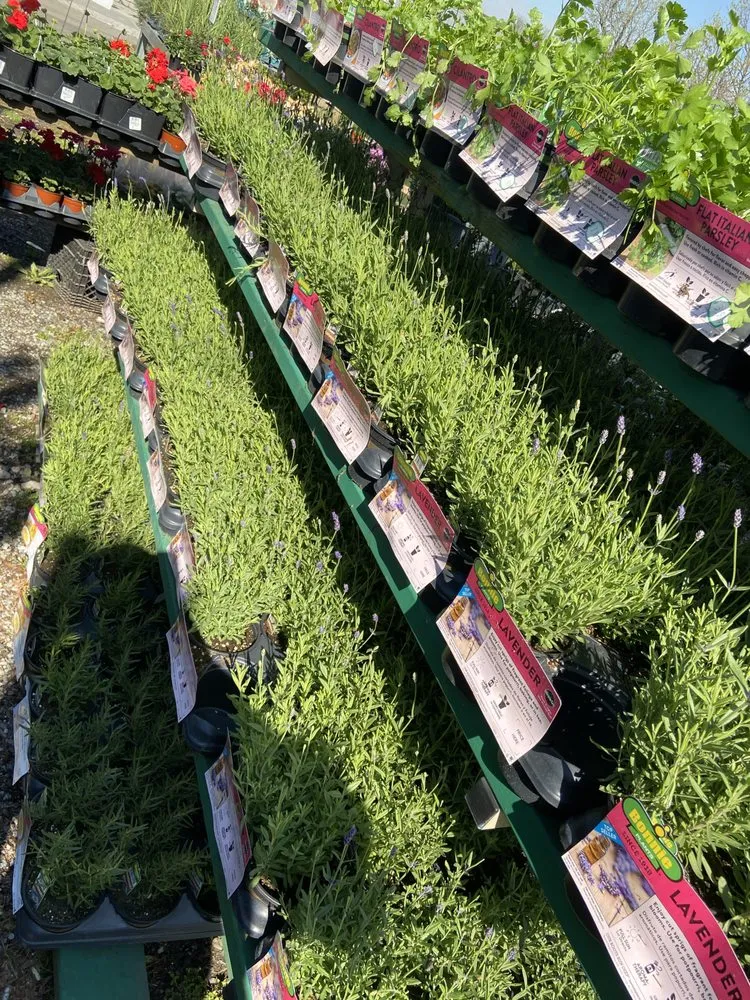 Affordable outdoor landscaping in Staten Island, NY by Sweetbrook Nursery & Garden Center