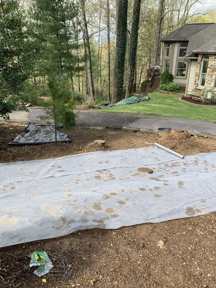 Affordable yard maintenance for beautiful yards across Asheville, NC - Sweeten creek landscapes