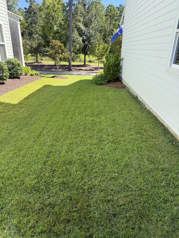 Top-rated lawn care service experts serving Summerville, SC - Sweetgrass Exteriors