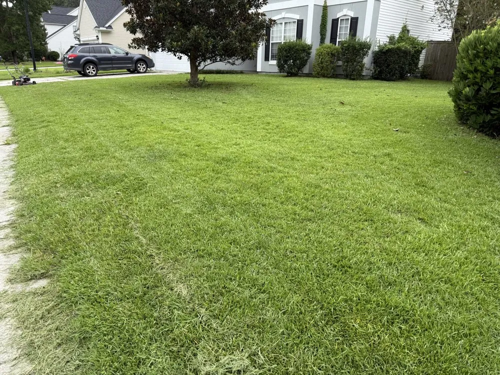 Affordable lawn care service with custom design across Summerville, SC - Sweetgrass Exteriors