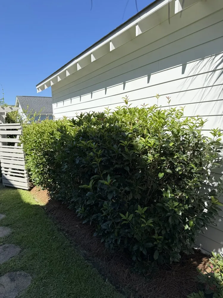 Expert landscape installation near you in Summerville, SC by Sweetgrass Exteriors