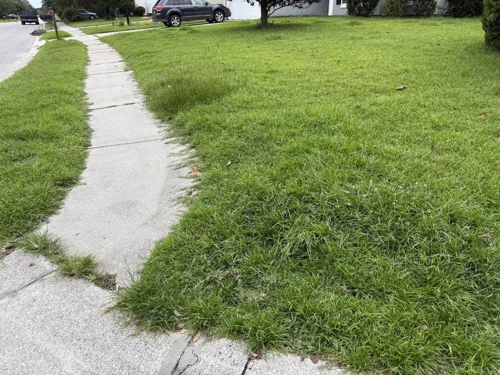 Affordable yard maintenance in Summerville, SC by Sweetgrass Exteriors