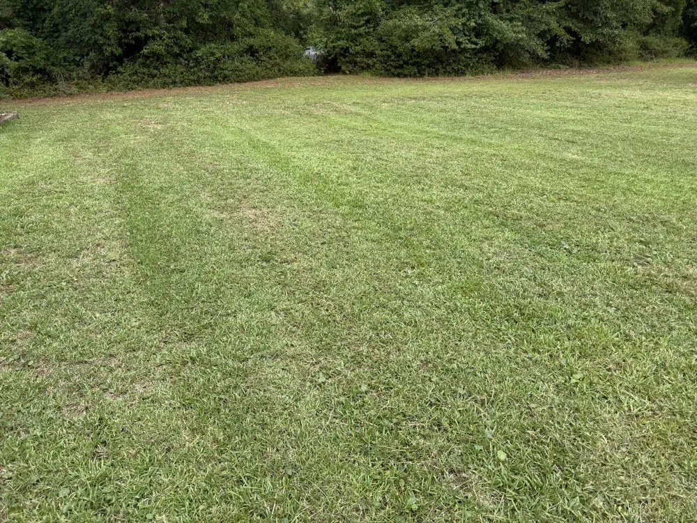 Custom garden landscaping for beautiful yards in Summerville, SC by Sweetgrass Exteriors