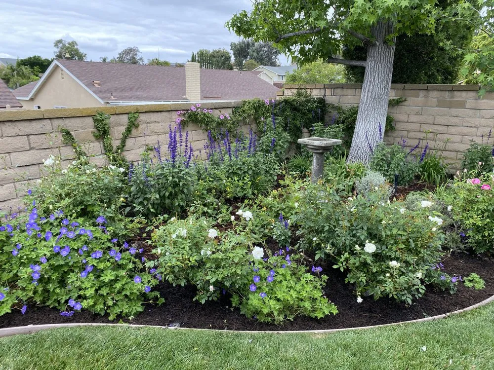 Custom garden landscaping for residential properties across Lake Forest, CA - Sweetgrass Gardens