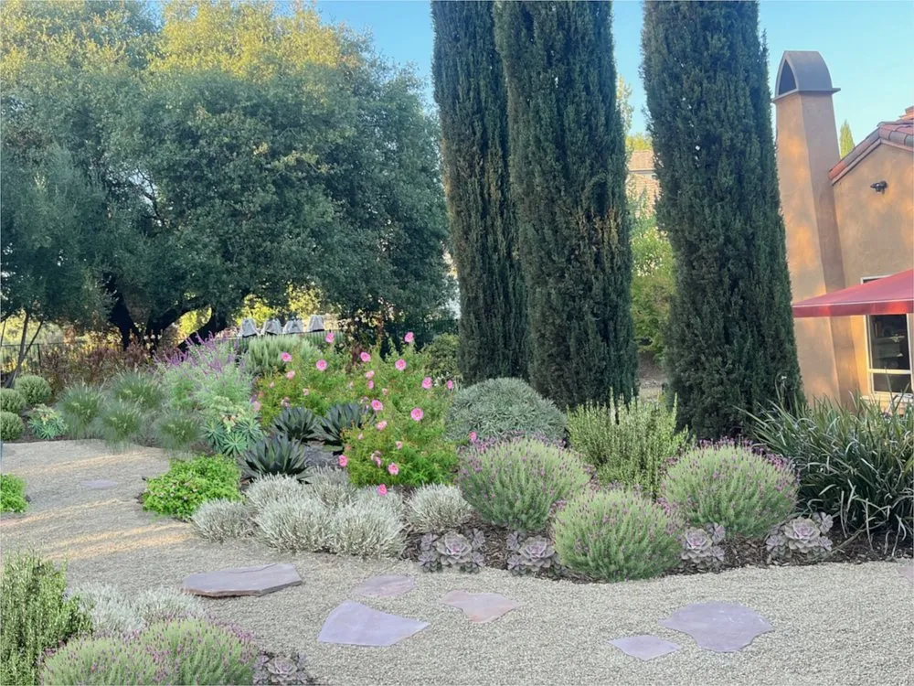 Expert landscape installation in Lake Forest, CA by Sweetgrass Gardens