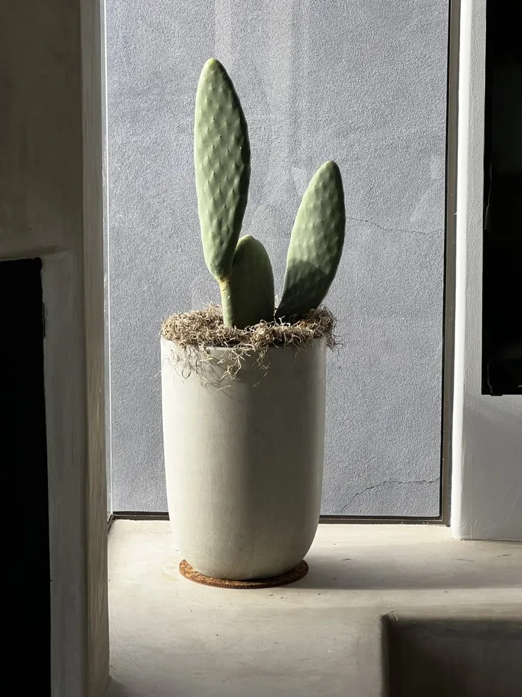 Trusted outdoor landscaping in Lake Forest, CA - Sweetgrass Gardens