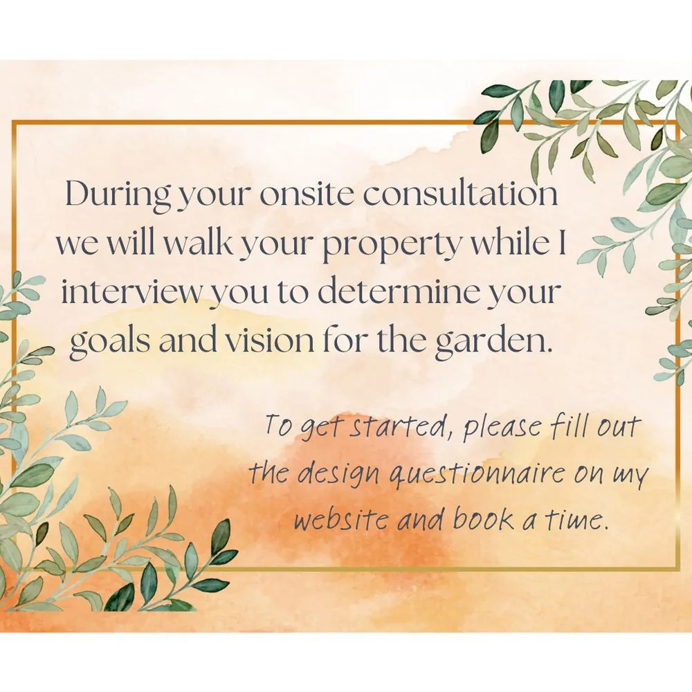 Expert yard cleanup service near you across Lake Forest, CA - Sweetgrass Gardens