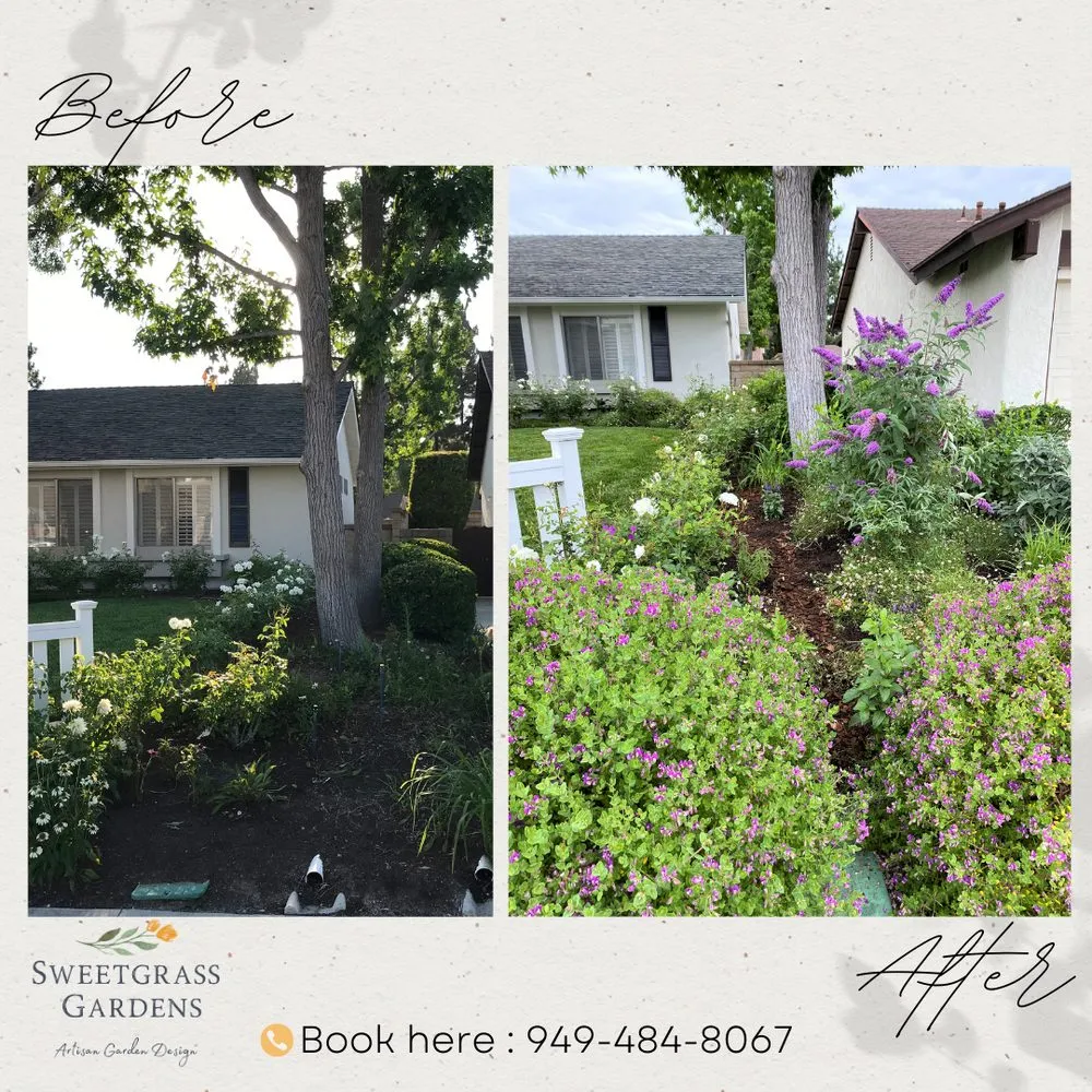 Top-rated yard cleanup service for beautiful yards across Lake Forest, CA - Sweetgrass Gardens