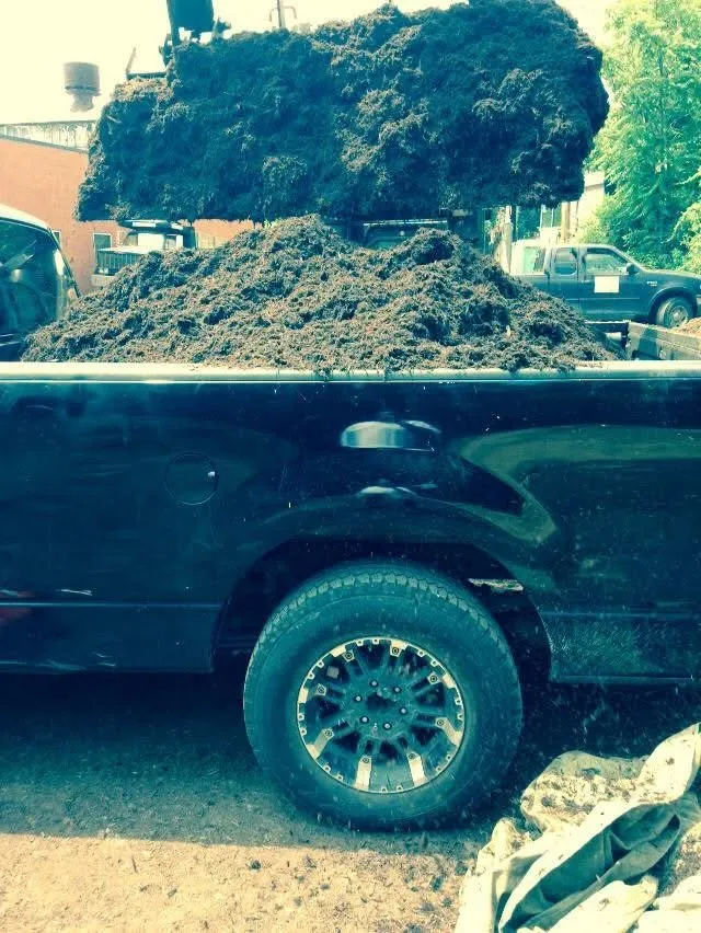 Custom yard cleanup service near you in Pittsburgh, PA by SweetGreen Lawn Care