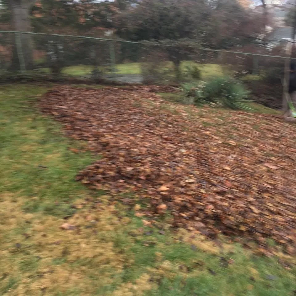 Local landscape installation experts serving Pittsburgh, PA - SweetGreen Lawn Care