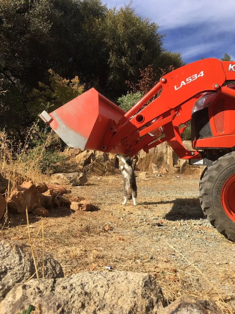 Trusted landscape installation in North San Juan, CA - Sweetland Home And Land Care
