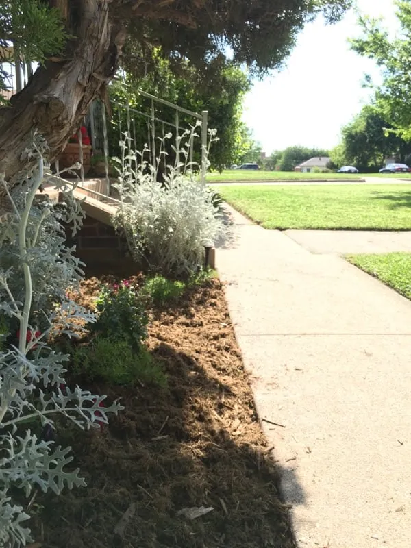 Affordable lawn mowing service for year-round maintenance in Oklahoma City, OK by Sweetleaf