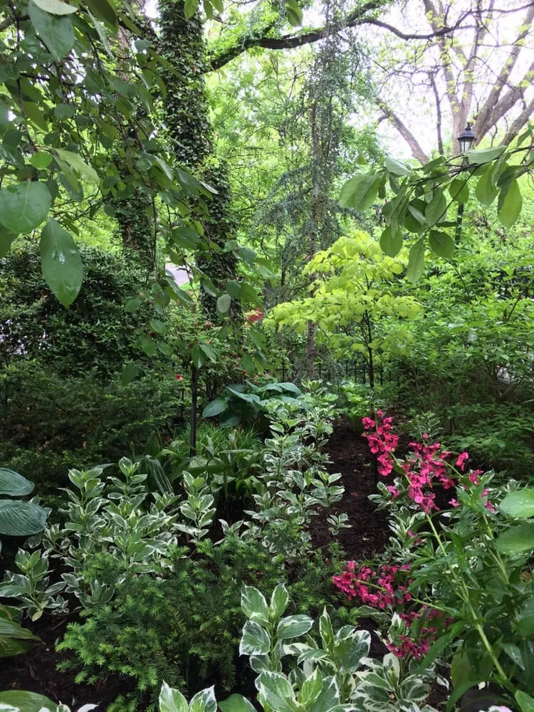 Professional outdoor landscaping in Oklahoma City, OK by Sweetleaf