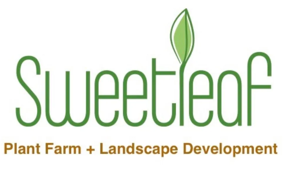 Trusted yard maintenance for residential properties in Oklahoma City, OK by Sweetleaf