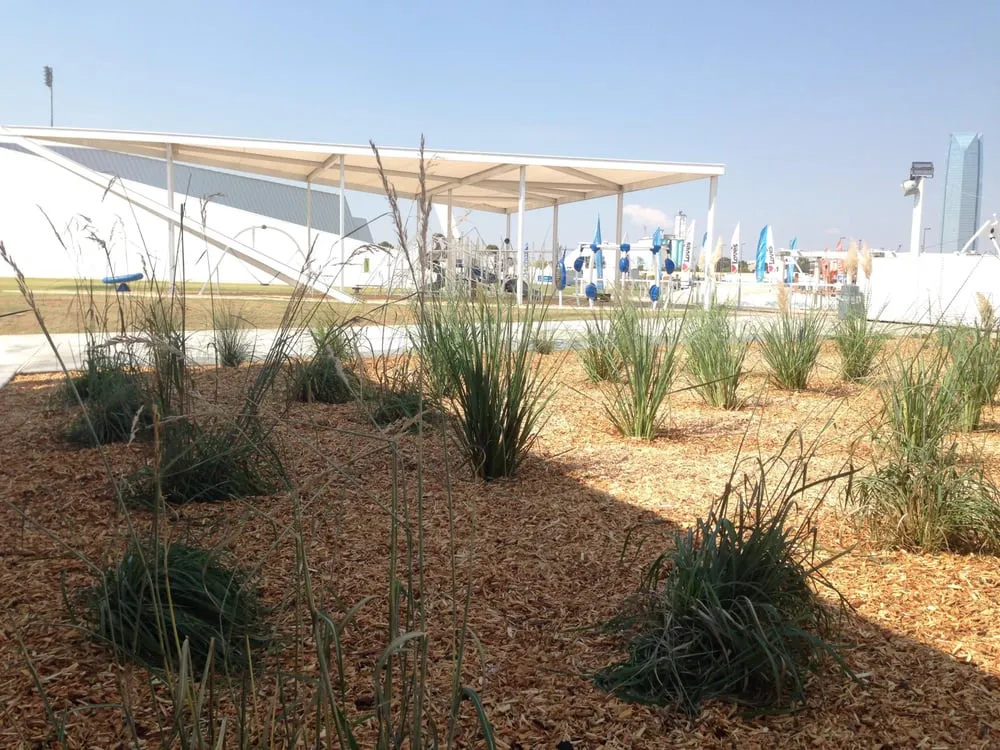 Expert yard maintenance for year-round maintenance in Oklahoma City, OK by Sweetleaf