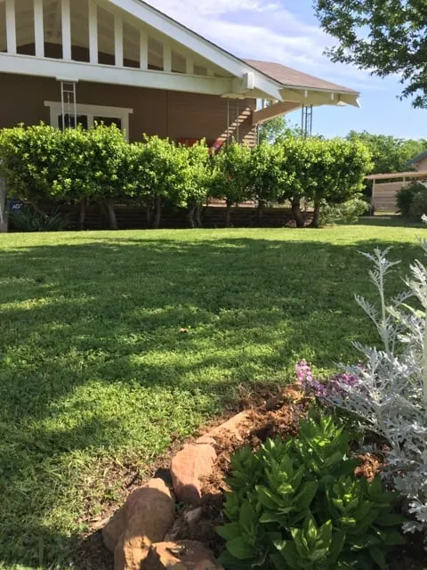 Professional residential landscaping near you across Oklahoma City, OK - Sweetleaf