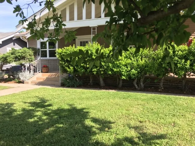 Professional landscaping services experts serving Oklahoma City, OK - Sweetleaf