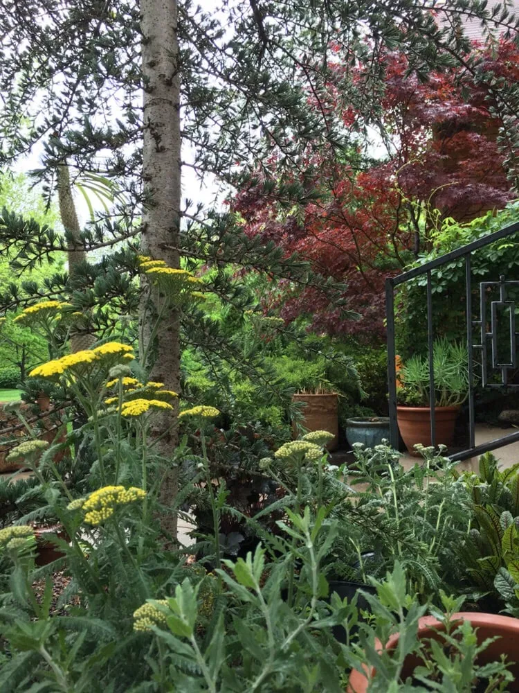 Custom landscape design experts serving Oklahoma City, OK - Sweetleaf