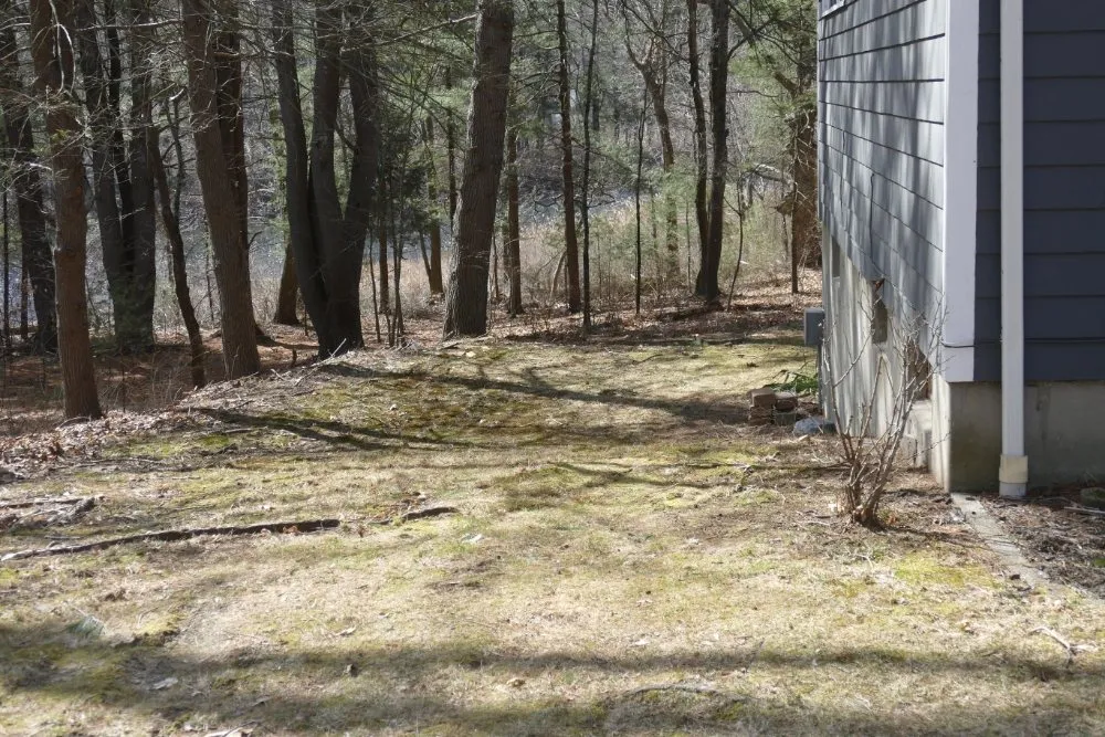 Top-rated lawn care service near you in Ashland, MA by Sweets Landscaping