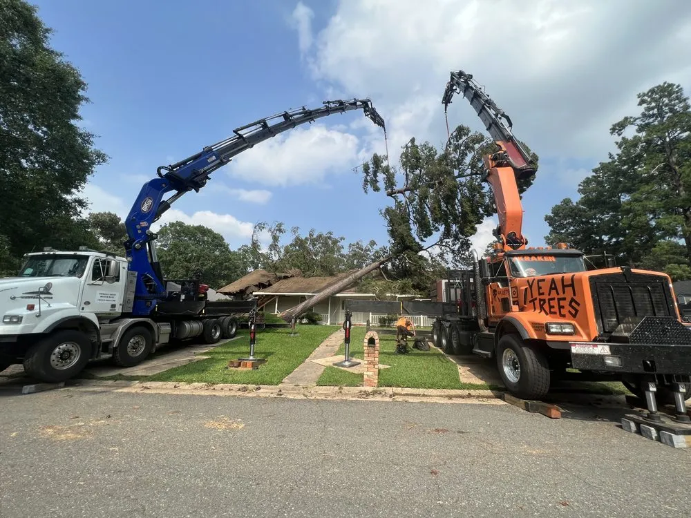 Local landscape design in Vale, NC by Sweet’s Tree Service