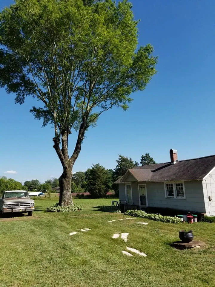 Professional lawn mowing service experts serving Vale, NC - Sweet’s Tree Service