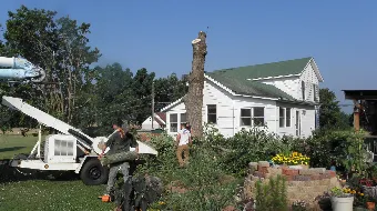 Top-rated landscape design in Vale, NC by Sweet’s Tree Service